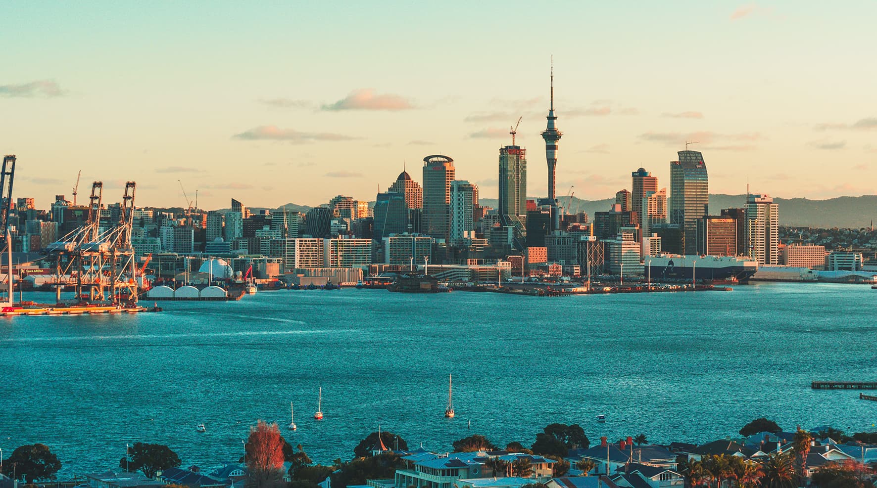 Auckland Cityscape