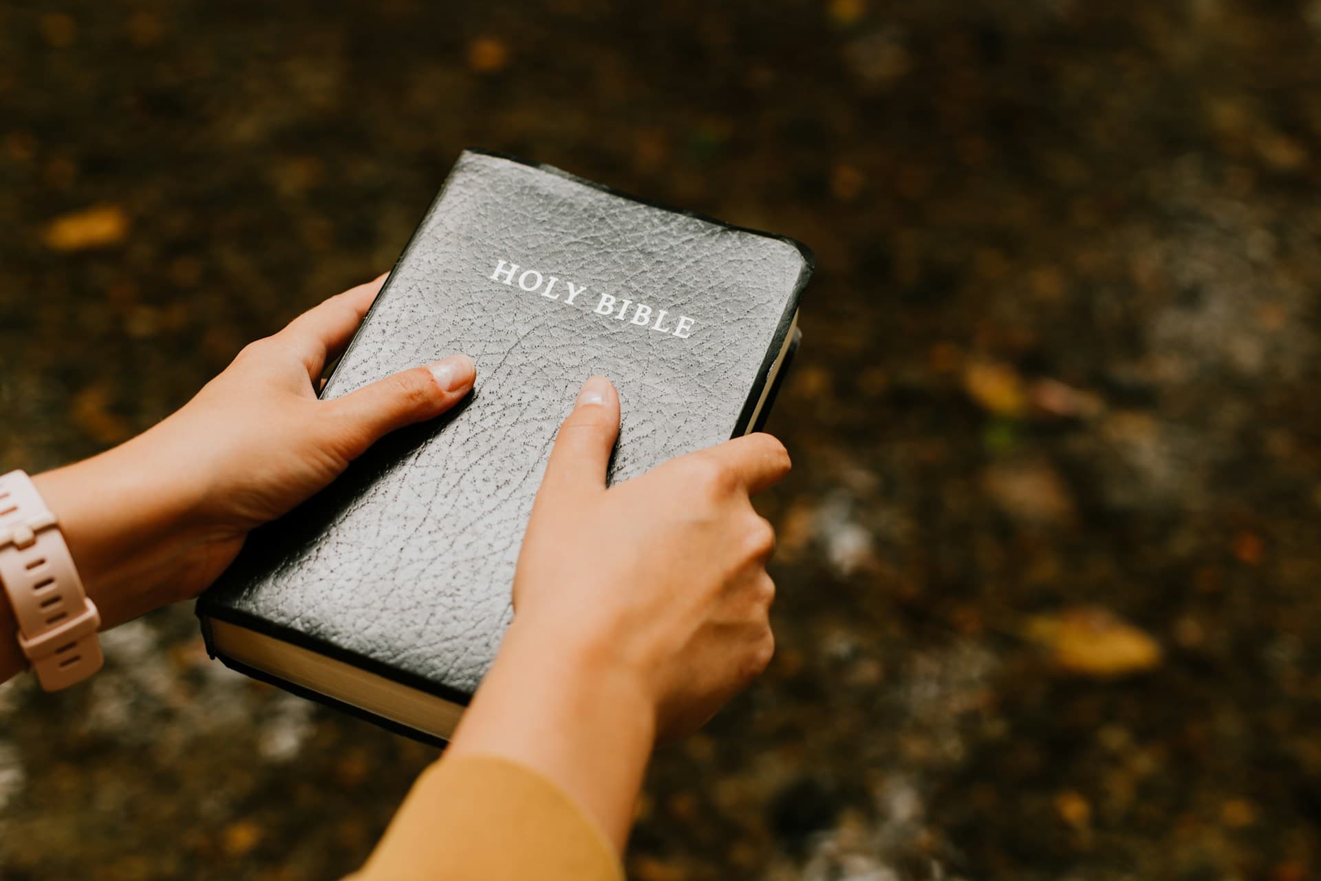 /api/media/file/Hands%20holding%20bible.jpg